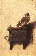 FABRITIUS, Carel The Goldfinch dfgh oil painting on canvas
